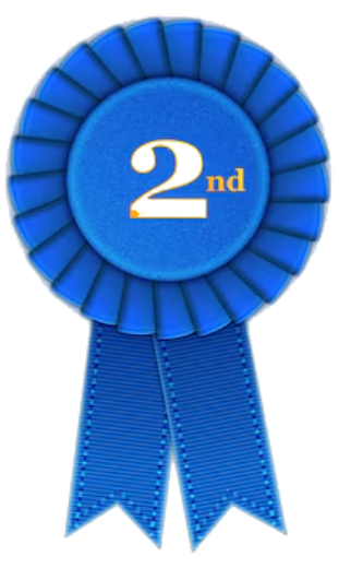 winner-rosette-set-with-ribbons_109064-475 (1) (1)