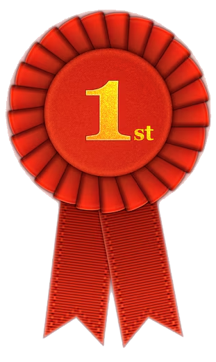 winner-rosette-set-with-ribbons_109064-475